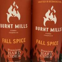 Burnt Mills Cider Company - Fall Spice (4 pack 16oz cans)